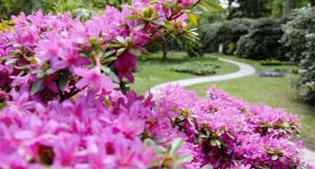 Ohlsdorfer_Friedhof_besucher-spaziergaenge_01