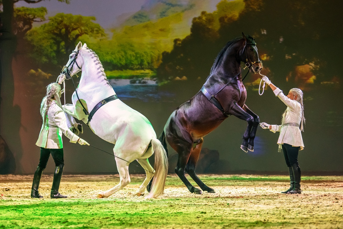 "CAVALLUNA - Welt der Fantasie"