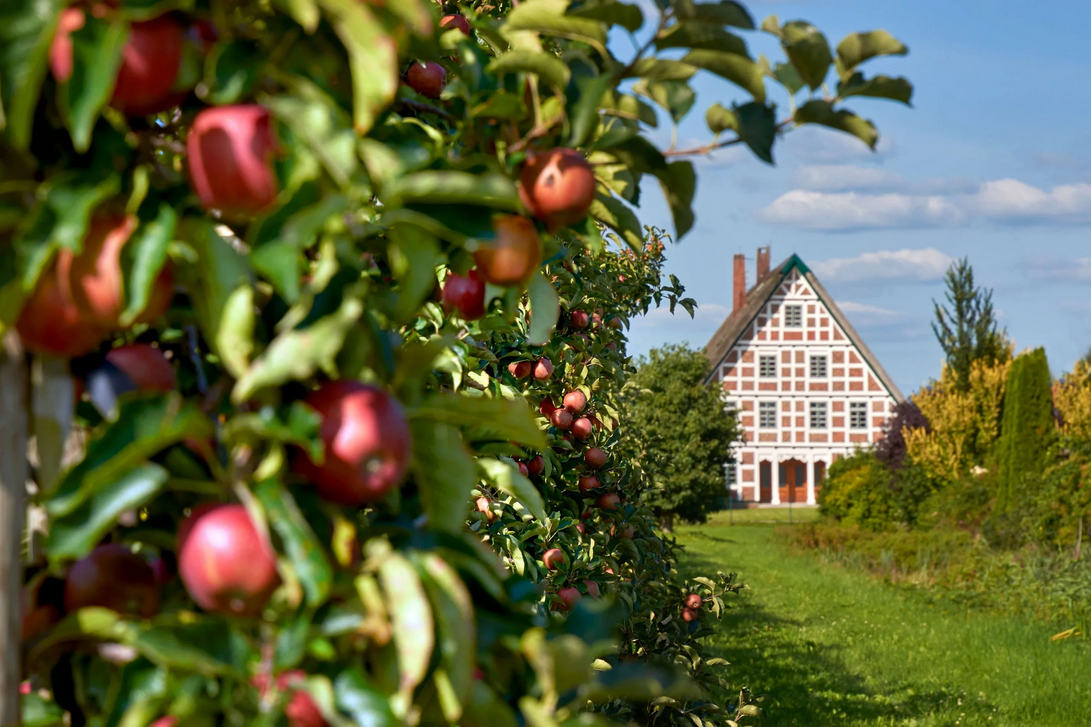 Altes_Land_0003_c_Tourismusverband Landkreis Stade  Elbe e