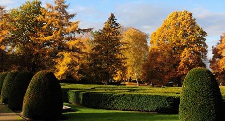 Ohlsdorfer_Friedhof_besucher-service-downloads_01