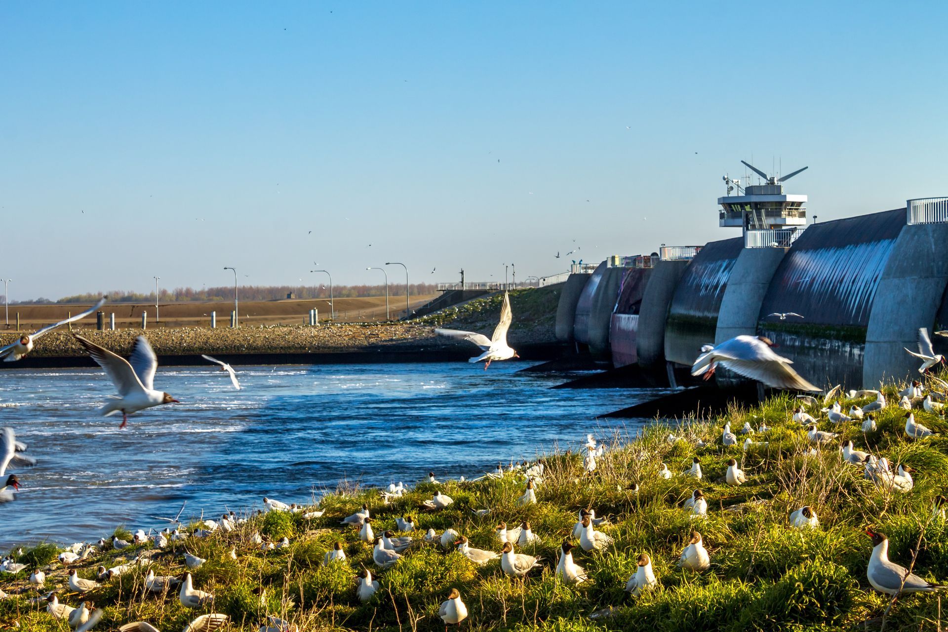 Eidersperrwerk, Wesselburenerkoog, 