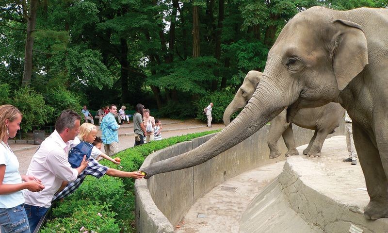 Hamburg_Hagenbeck_UD_20060708_ (179)bea