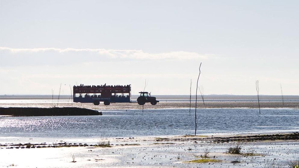 Insel_Mandoe_mando-traktorbusser