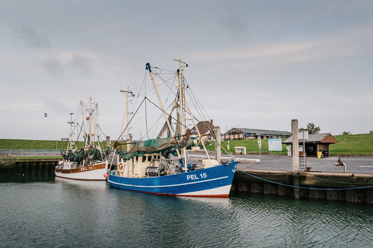 Fischkutter im Hafen Pellworm